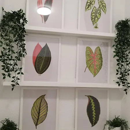 Jardin Del Mar Apartment